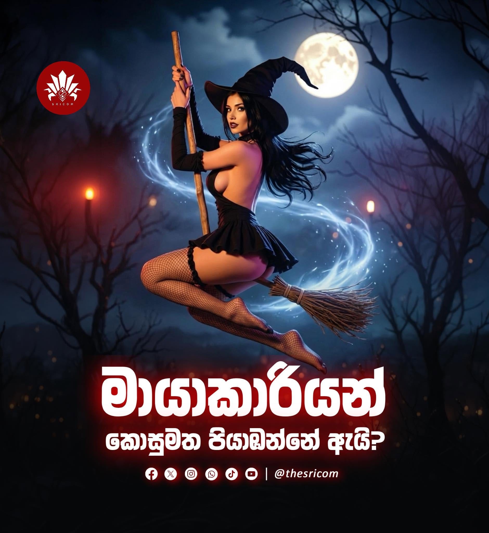 මායාකාරියන් කොසු මත පියාඹන්නේ ඇයි???