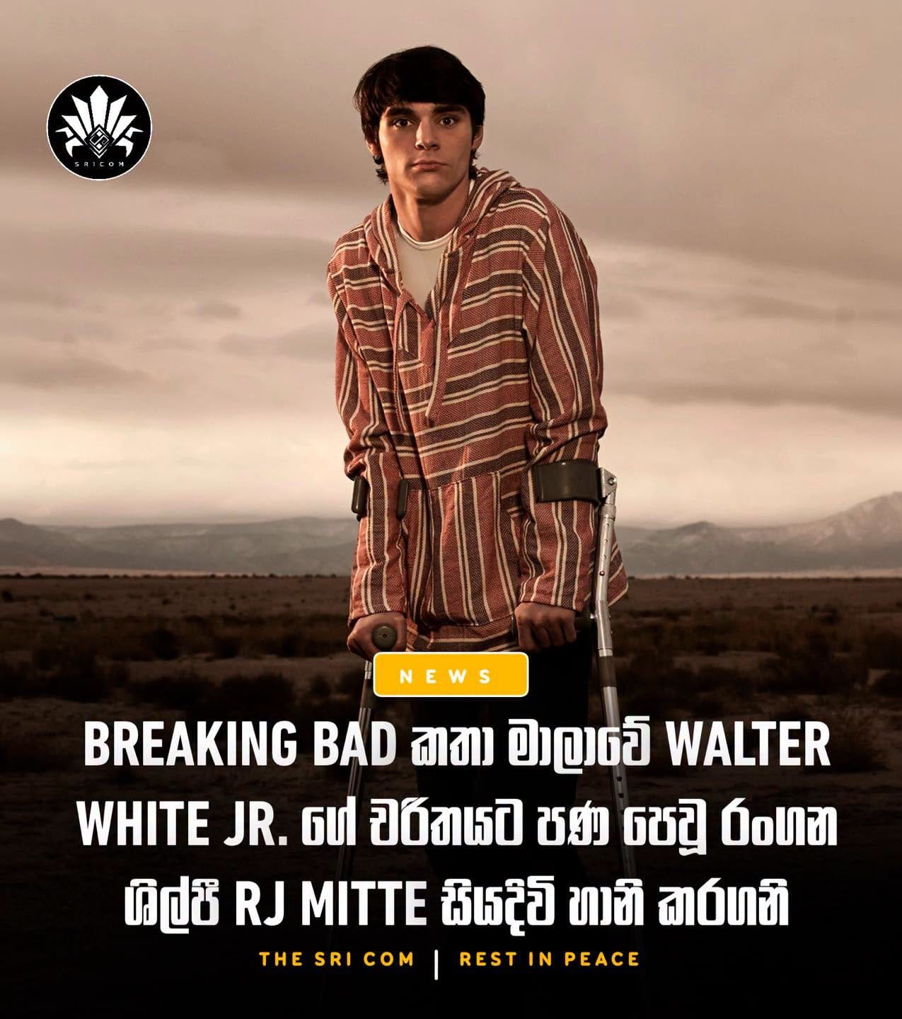Breaking Bad star RJ Mitte passes away at 34