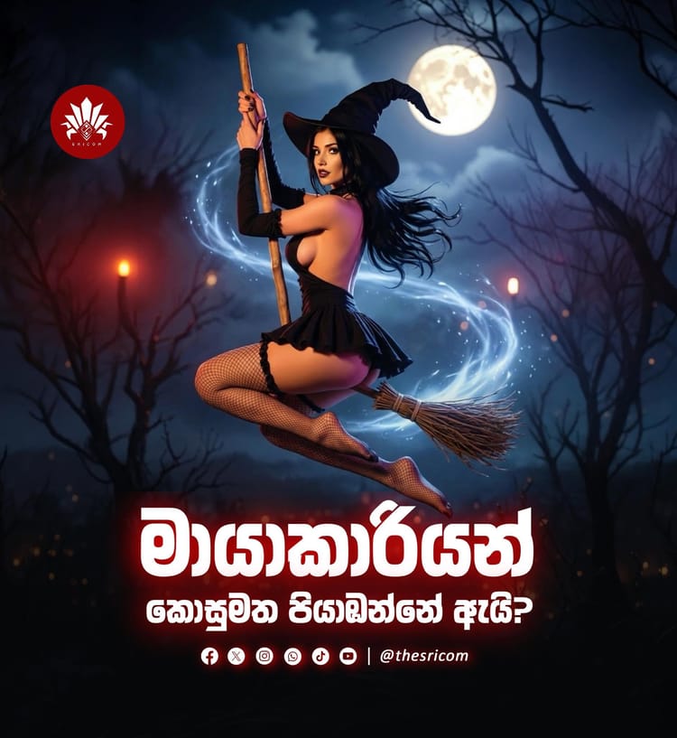 මායාකාරියන් කොසු මත පියාඹන්නේ ඇයි???