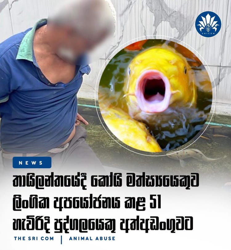 Man arrested in Thailand for allegedly sexually assaulting koi fish