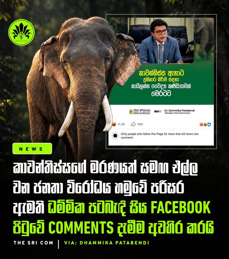 Environment Minister Dr.Dammika Patabendi Patabendi disables Facebook comments amid public outrage over elephant Kawanthissa’s death